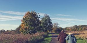 Alzheimer e demenza: incontri di formazione